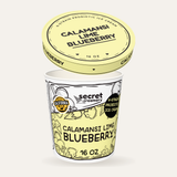 Secret Creamery Calamansi Lime Blueberry — Probiotic 16 oz pint — 4-strain probiotic ice cream — lid off